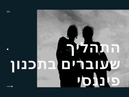 התהליך שעוברים בתכנון פיננסי